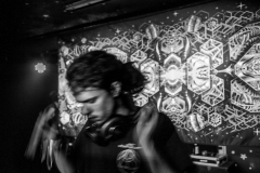 2_dark-enlightment-1-von-1-18